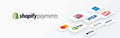 Test Shopify Payments